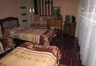 Гостиница Minihotel Stariy Kislovodsk Кисловодск Номер "Стандарт"-19