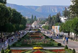 Гостиница Minihotel Stariy Kislovodsk Кисловодск Номер "Стандарт"-22