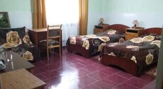 Гостиница Minihotel Stariy Kislovodsk Кисловодск Номер "Стандарт"-1